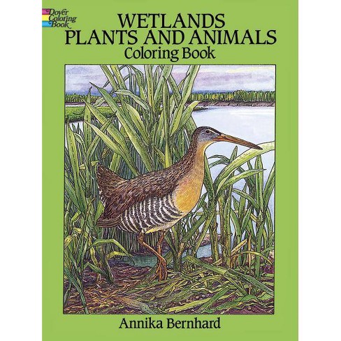 wetland animals and plants
