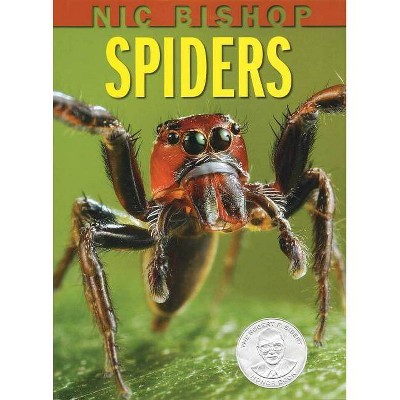 Nic Bishop: Spiders - (Hardcover)