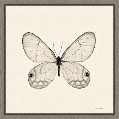 Amanti Art Butterfly I BW Crop by Debra Van Swearingen Canvas Wall Art Print Framed 16-in. x 16-in.