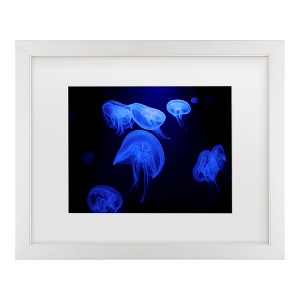 Trademark Fine Art - Jan Matussik Deep Sea Ballerina Matted Framed Art - 1 of 4