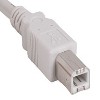 SANOXY Cables and Adapters; 3ft USB 2.0 A Male to B Male Cable, White - 2 of 3
