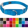 Country Brook Petz Heavyduty Nylon Martingale with Premium Buckle - 3 of 4