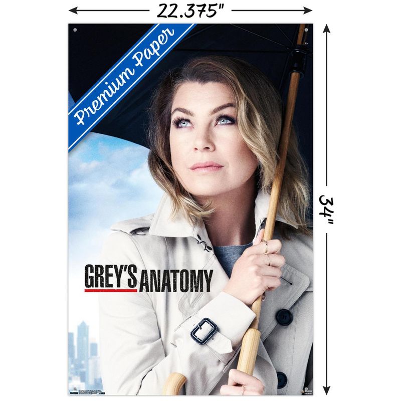 Trends International Grey's Anatomy Season 12 - One Sheet Unframed Wall Poster Prints, 3 of 7