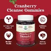 Natural Cranberry Gummies for Women & Men, Antioxidant Cranberry Chews, Urinary Tract Kidney Support Bladder & Immune Health, Nature's Craft, 60ct - 2 of 4