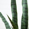 Nearly Natural 3-ft UV Resistant Artificial Sansevieria Snake Plant in White Decorative Planter (Indoor/Outdoor) - 3 of 4