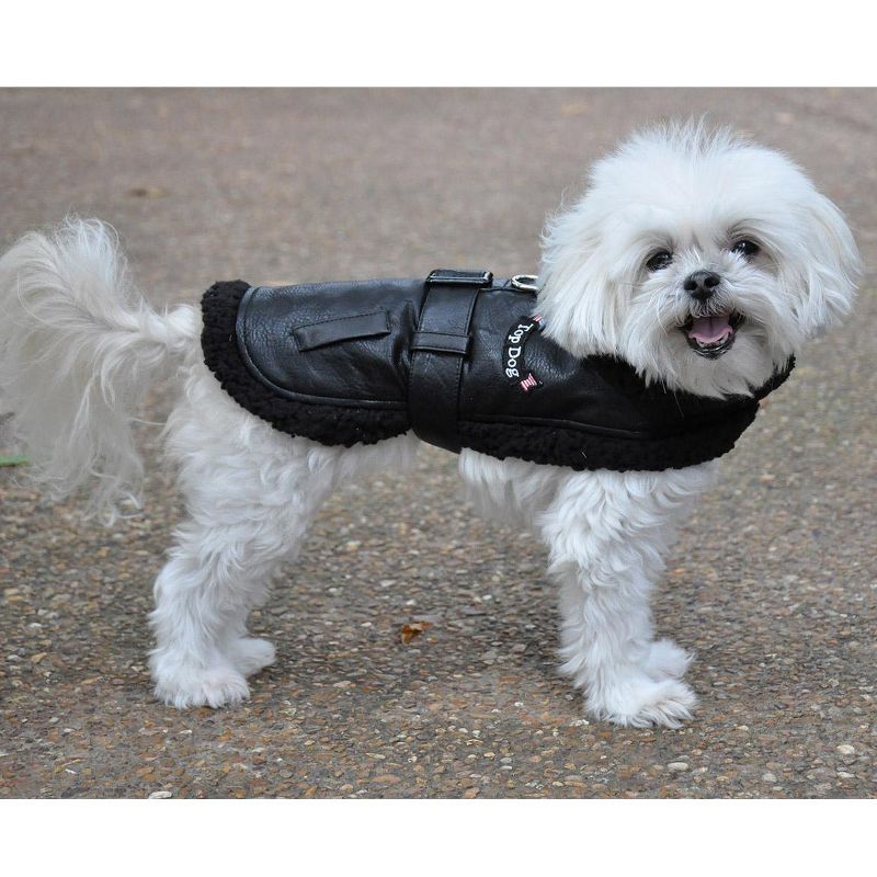 Doggie Design Top Dog Flight Harness Coat-Black, 4 of 6