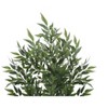 Vynxaria Artificial Plant, 47" Tall, Acacia Tree, Indoor, Faux, Fake, Floor, Greenery, Potted, Silk, Decorative, Green Leaves, Black Pot - 3 of 4