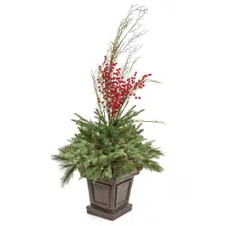 National Tree Company 48" Pre-Lit Potted Pine & Berries Artificial Plant with LED White Lights