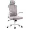 Infurnic Task and Office Chairs, Office Chair with Adjustable Lumbar Support and Armrests, for Home and Office, Gray, 23.43"*23.43"*56.69" - 4 of 4