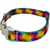 Country Brook Petz Premium Dog Collar - Groovy Collection - 2 of 4