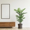 ACEPANO 63 in. H 2-Piece Artificial Areca Palm Plant for Indoor/Outdoor Home and Office Decor-Green - 4 of 4