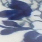 georgia blue