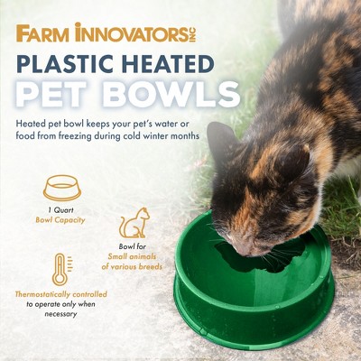 Green Heated Pet Water Bowl with Anti-Chew Cord Protector