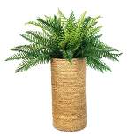42" x 34" Artificial Deluxe River Fern Plant in Cylinder Basket - LCG Florals