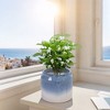 Okak Ombre Ceramic Planters with 5/6" Set of 2, Flower Pots for Indoor and Outdoor Use, Modern Home Decor, White+Blue - 2 of 4