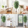 Artificial Ficus Tree,Tall Fake Ficus Silk Tree with Natural Wood Trunk in Plastic Nursery Pot for Indoor Outdoor Room Office Garden Decor (6ft) - 3 of 4