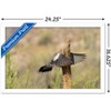 Trends International The Comedy Wildlife Photography Awards: Wendy Kaveney - That Wasn't Here Yesterday Framed Wall Poster Prints - 3 of 4