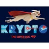 Boy's DC League of Super-Pets Krypto Super Dog T-Shirt - 2 of 4
