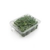 Good Natured Products Simply Secure Square 48 oz. Top Seal Multi-purpose - Package Compostable - Case of 175 - 2 of 3
