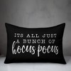 Creative Products It's all just a bunch of hocus pocus 14x20 Indoor / Outdoor Pillow - 3 of 3