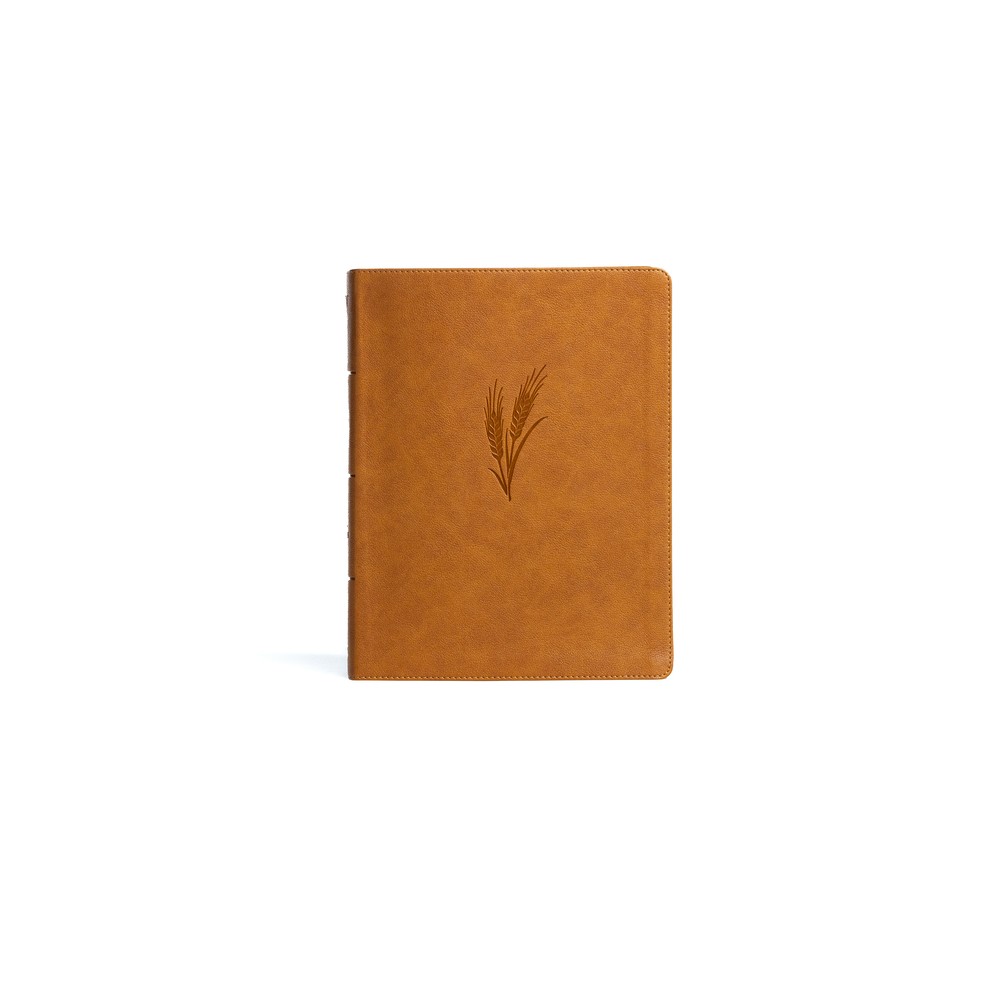 KJV Notetaking Bible, Large Print Edition, Camel Leathertouch - by Holman Bible Publishers (Leather Bound)