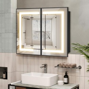 Lighted Medicine Cabinet with Mirror Wall Mounted Bathroom Mirror with Storage - 1 of 4