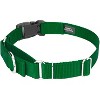 Country Brook Petz Heavy Duty Nylon Martingale Dog Collar with Deluxe Buckle - 30+ Vibrant Color Options - 4 of 4