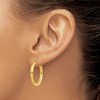 Black Bow Jewelry 3mm x 25mm 14k Yellow Gold Classic Round Hoop Earrings - 3 of 4