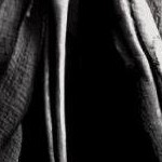 clear push pins bundle