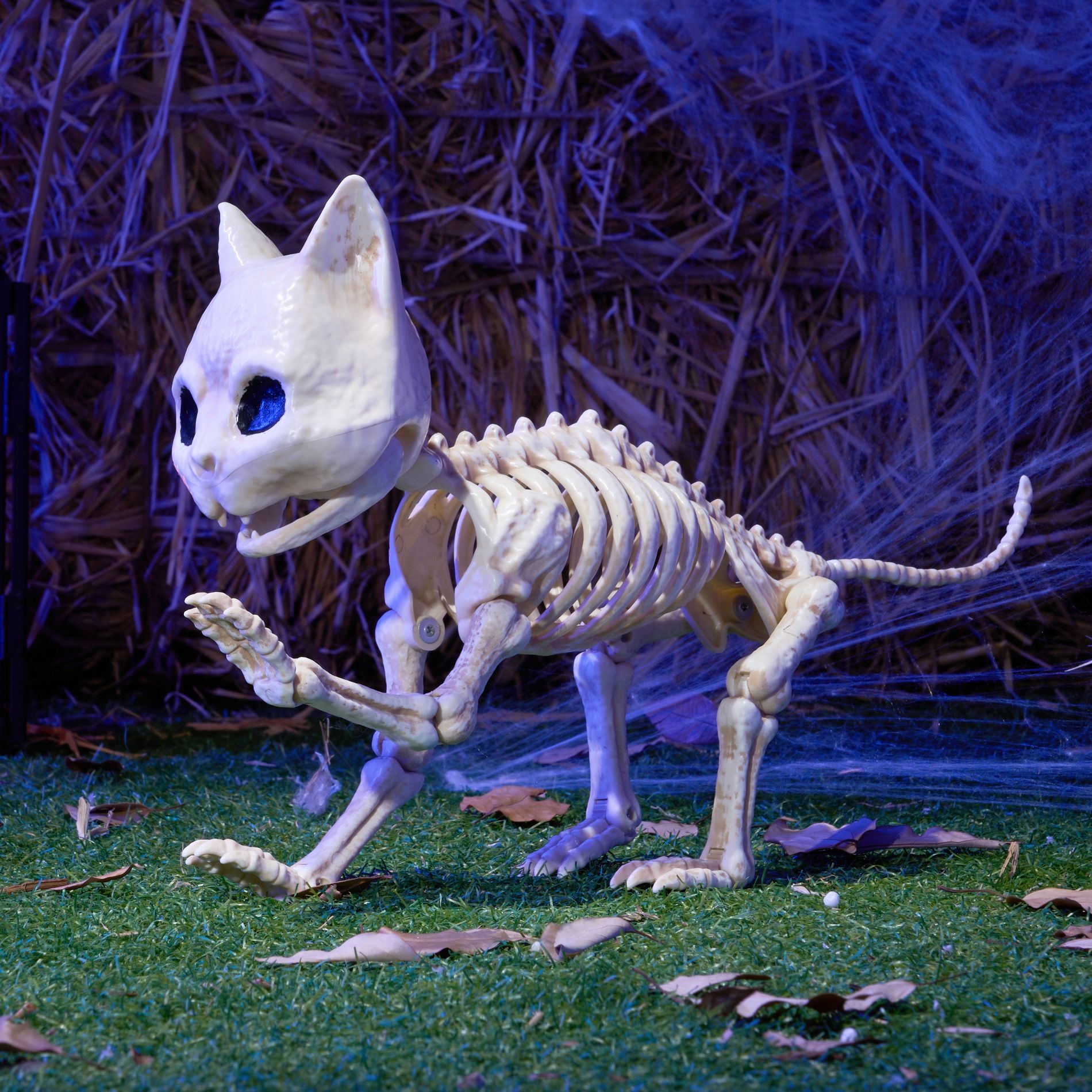 Joyfy Cat Skeleton - 8" Kitten Skeletons with Posable Joints Halloween Decor - Indoor & Outdoor Haunted House Scary Animal Party Decoration
