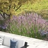 Outsunny 11.4' Steel Garden Fence Rust-Resistant Animal Barrier Decorative Border Flower Edging, Pack of 4, Flourishes - 3 of 4