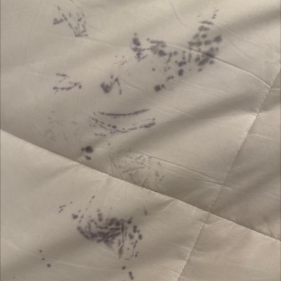 Guest review image 1 of 1, zoom in