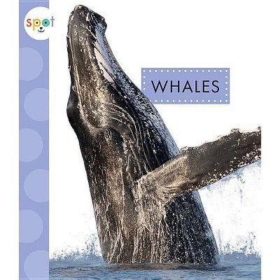 Whales - (Spot Ocean Animals) by  Mari C Schuh (Paperback)