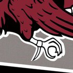 south carolina gamecocks