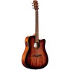 Alvarez AD66CE Dreadnought Acoustic-Electric Guitar Shadow Burst - 3 of 4