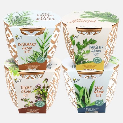 Buzzy 4ct Seed Grow Kits with Cement Pot