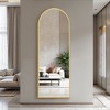 MAYEERTY Full Length Mirror, Floor Standing Mirror with Stand, Wall Mounted Hanging - 2 of 4