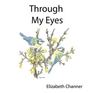 Through My Eyes - by  Elizabeth A Channer (Paperback) - 1 of 1