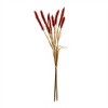 Fall Foxtail Grass Bundle (Set of 6) - 2 of 2