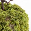 Faux 15" Moss Pumpkin - Green - Safavieh - 4 of 4