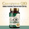 CoQ10 Coenzyme Q10 Heart Health Support Supplement - 60 Softgels By Nature's Nutrition - 3 of 4