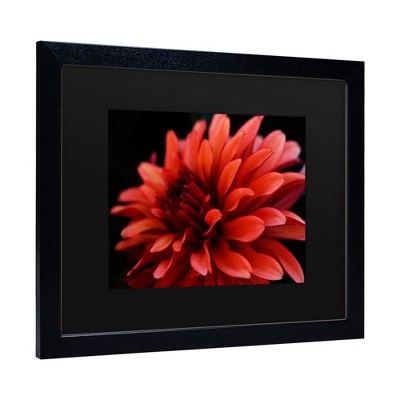 Trademark Fine Art - Kurt Shaffer 'Red Dhalia' Matted Framed Art