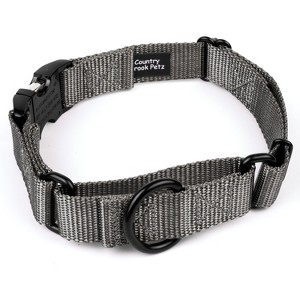Country Brook Petz Heavyduty Nylon Martingale with Premium Buckle - 1 of 4