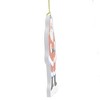 Cat's Meow Village 5.0 Inch Its A Wonderful Life Santa . Ornament 75Th Anniversary Tree Ornaments - 3 of 3