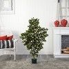 Artificial Silk Tree 4ft - Indoor Outdoor Decorative Tree with Realistic Foliage - 3 of 4