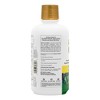 Source of Life Gold Liquid Tropical Fruit Flavor by Nature's Plus  -  30 oz Liquid - 3 of 3