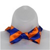 Men's 2.75" x 4.75" Adjustable 16" - 22" Self-Tie College Stripe Bow Tie - 2 of 3