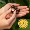 Tru Fru, Freeze-Dried Bananas, Dark Chocolate, 3.4 oz - 2 of 4