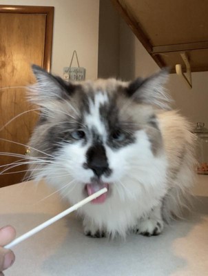 Bonkers Purrpops Chicky Licks Chicken Flavor Lollipop Freeze-dried Cat ...