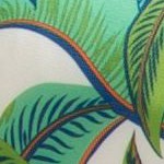 green tropical palm